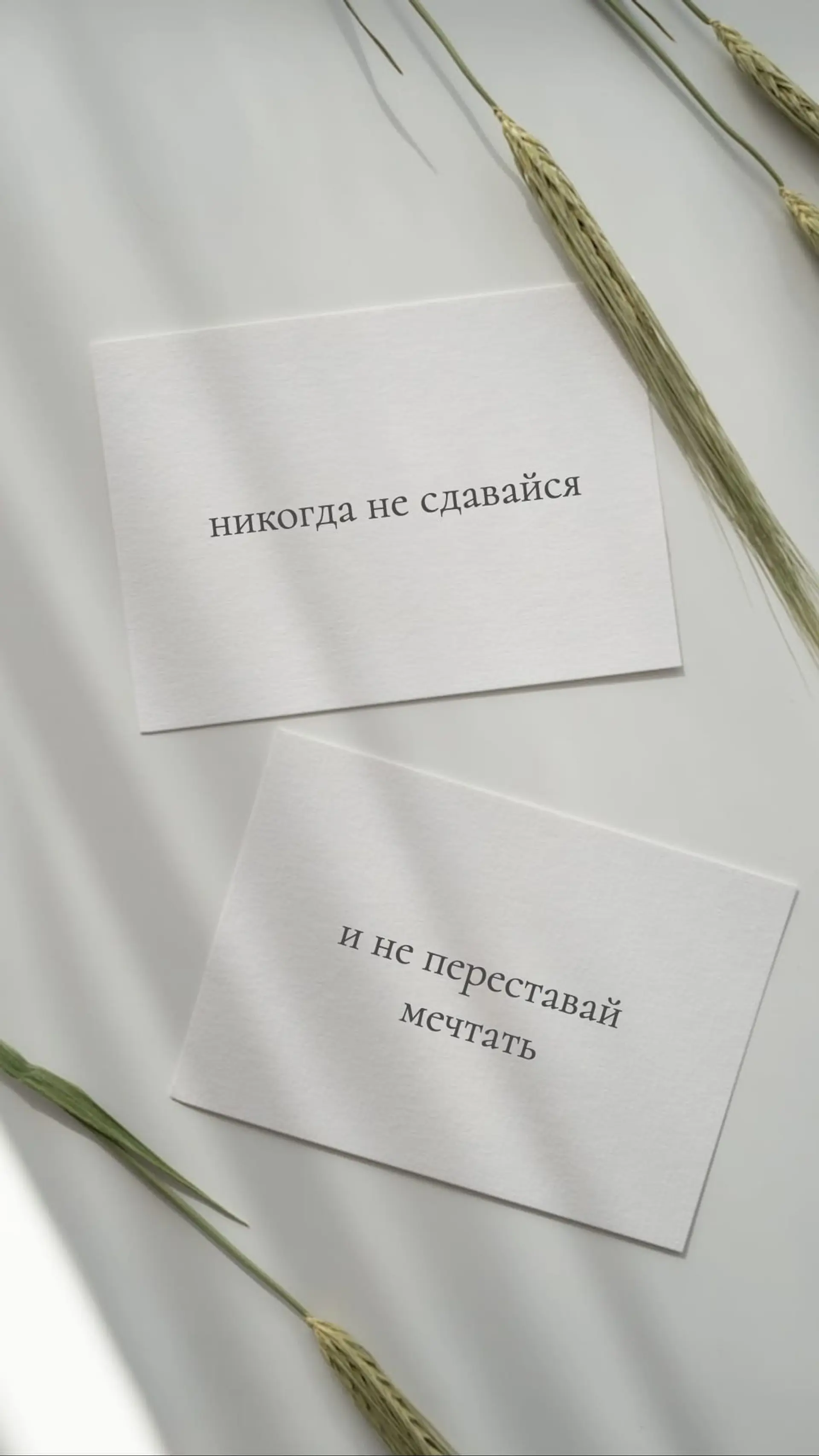 Цитата дня Инстаграм Сторис страница 1