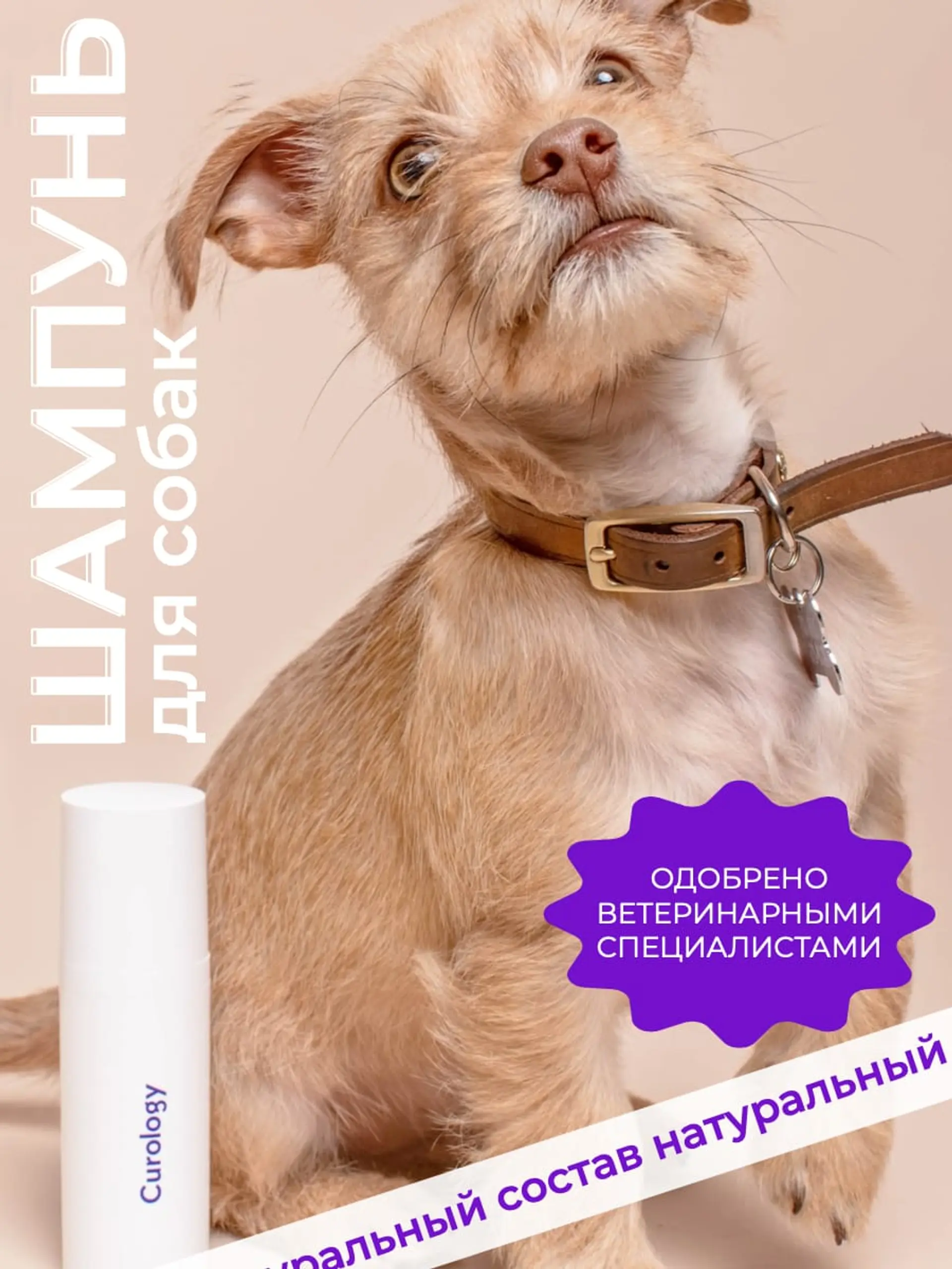 Красивая стильная животные Инфографика товара страница 1