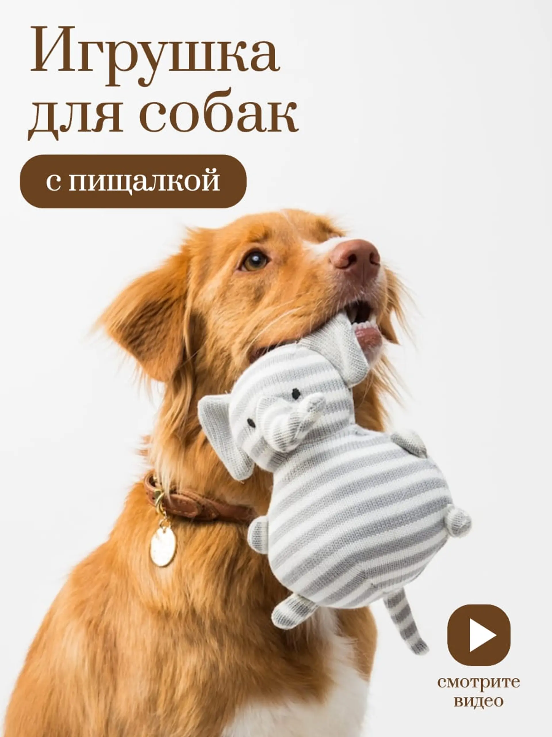 Игрушка для питомцев инфографика страница 1