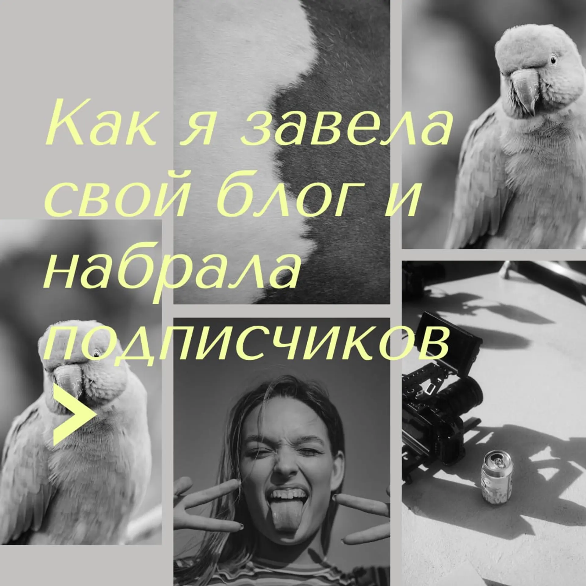 История Развития Инстаграм Пост страница 1