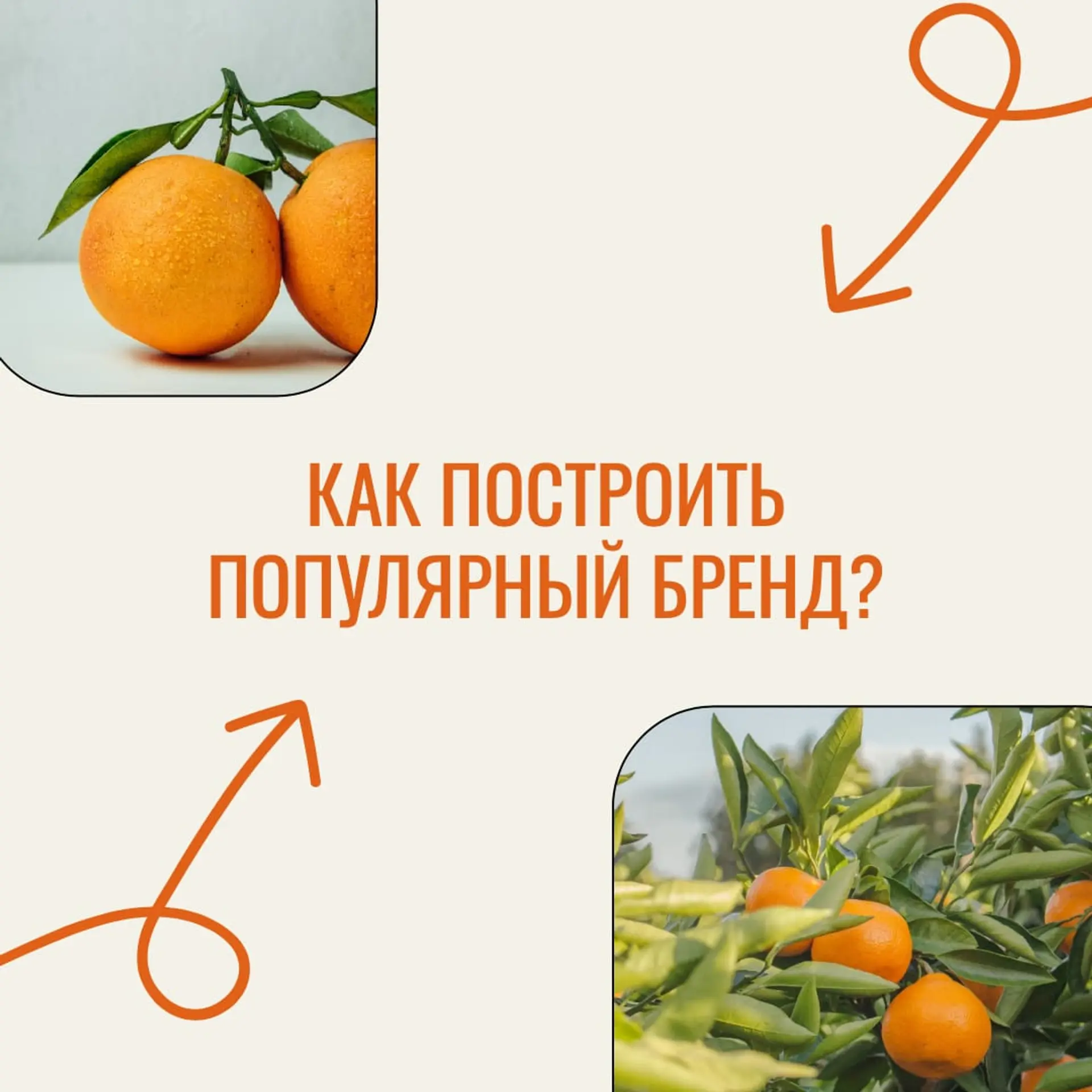 Оранжевый Фотоколлаж Инстаграм Пост страница 1