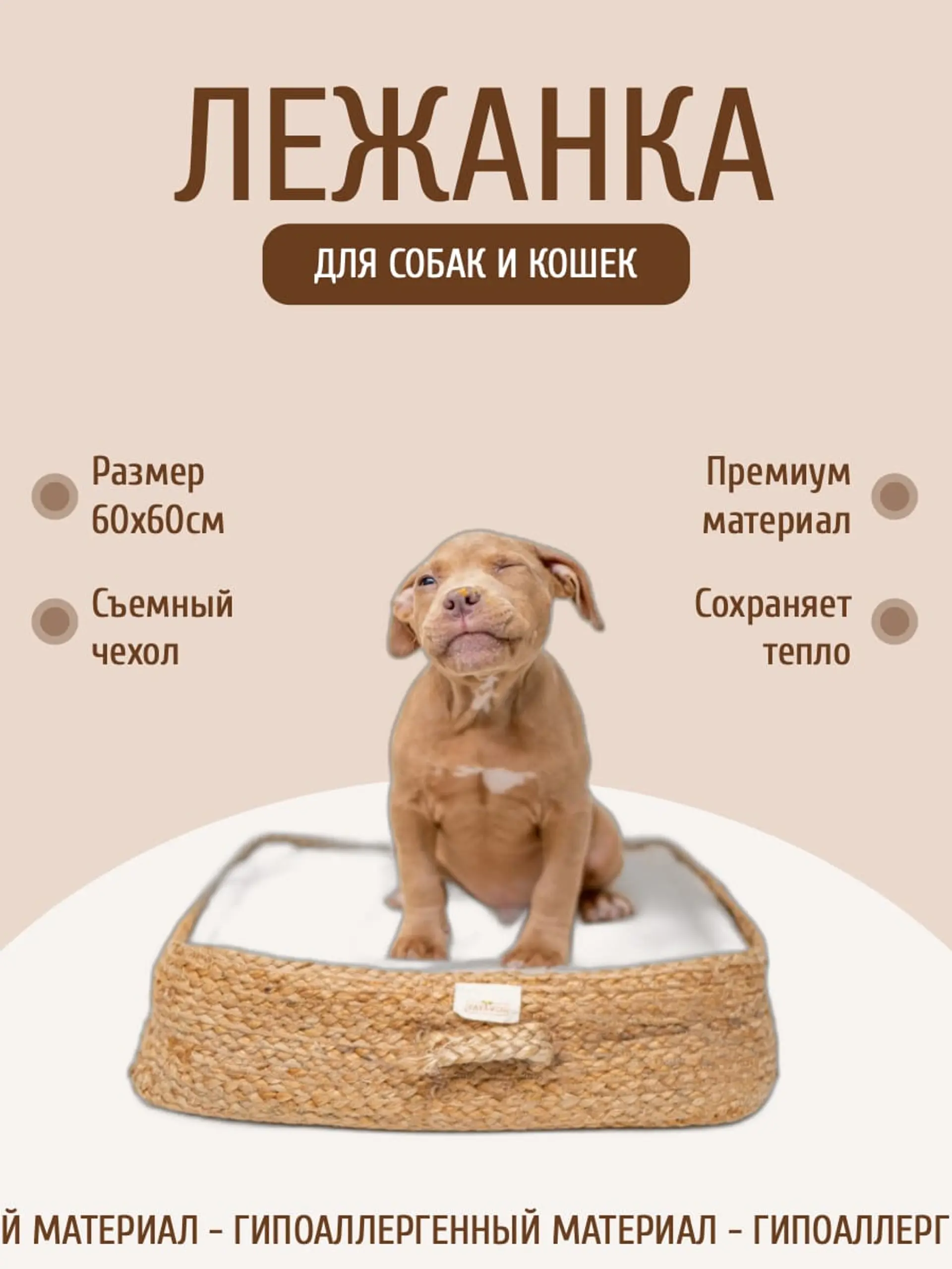 Лежанка для животных инфографика страница 1