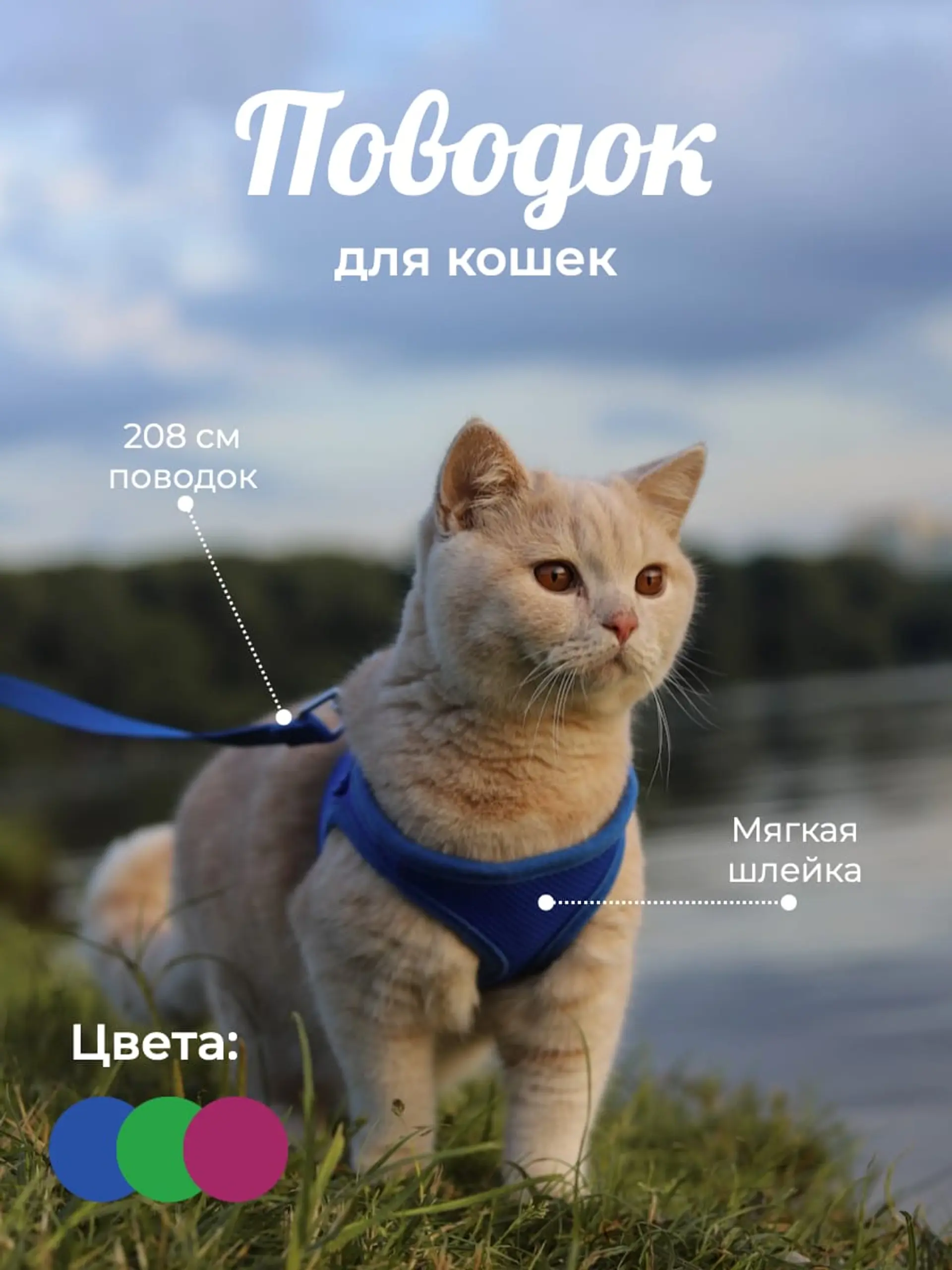 Поводок для животных инфографика страница 1