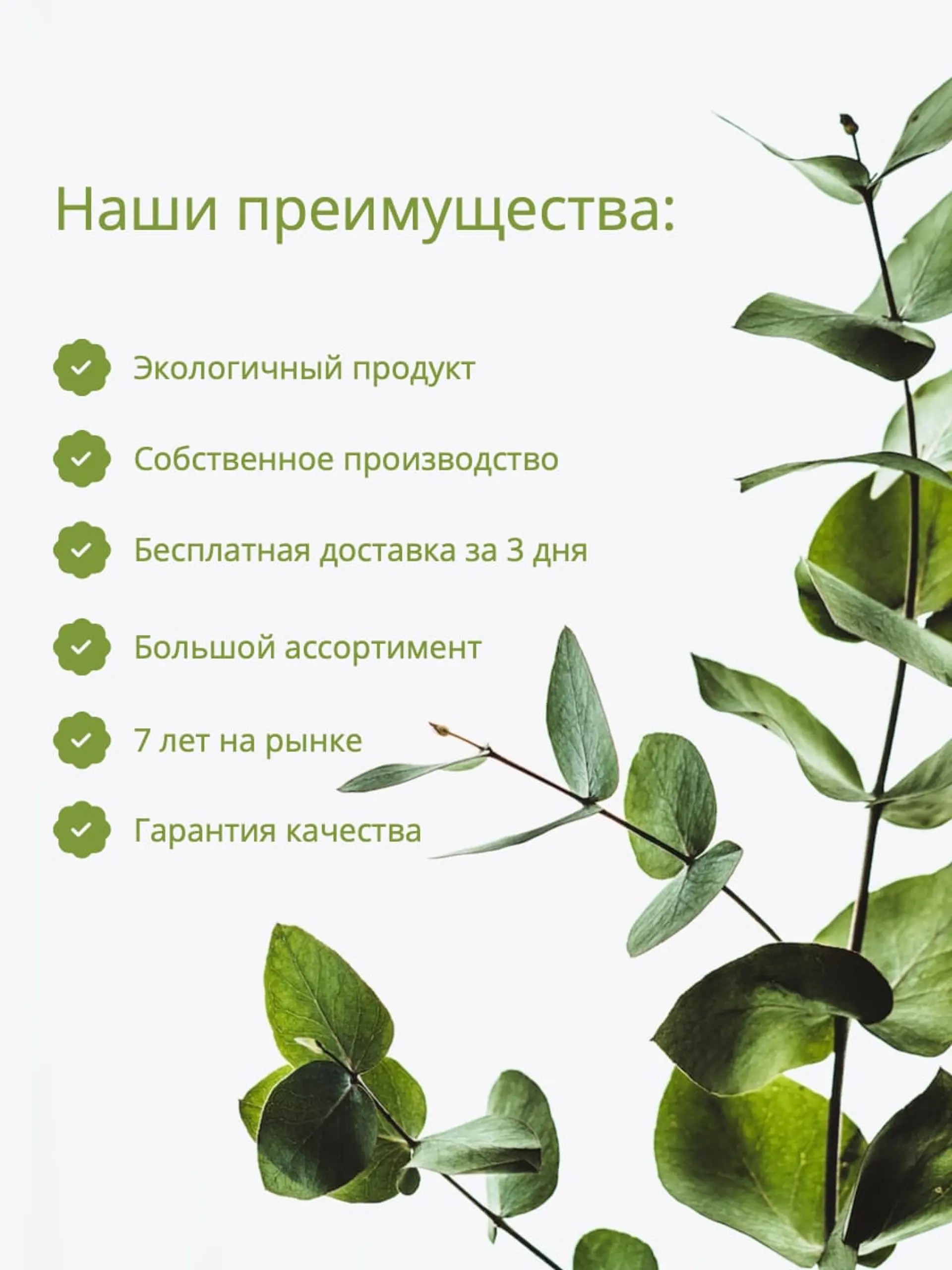 Преимущества простая инфографика товара страница 1