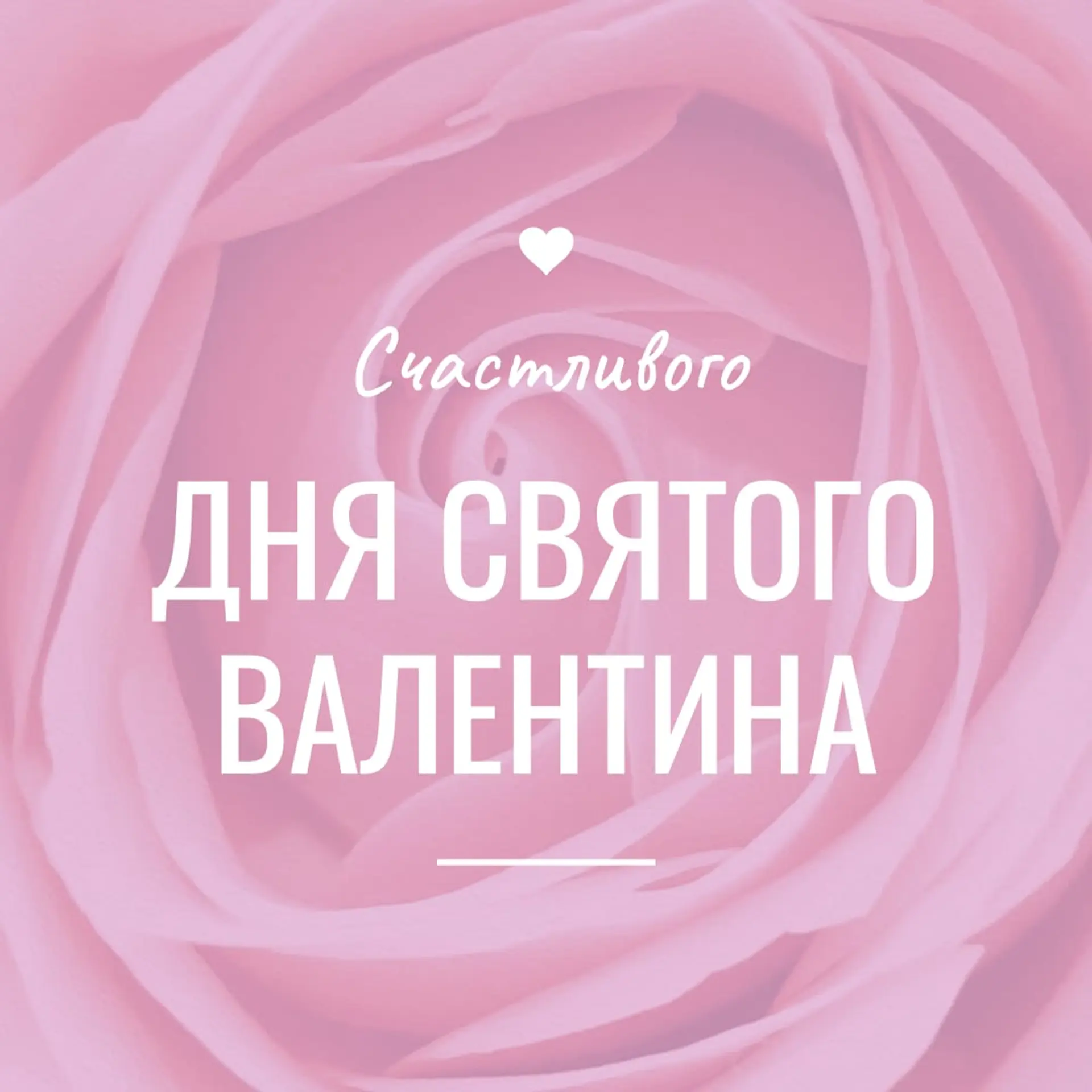 Розовый цветок Инстаграм пост страница 1