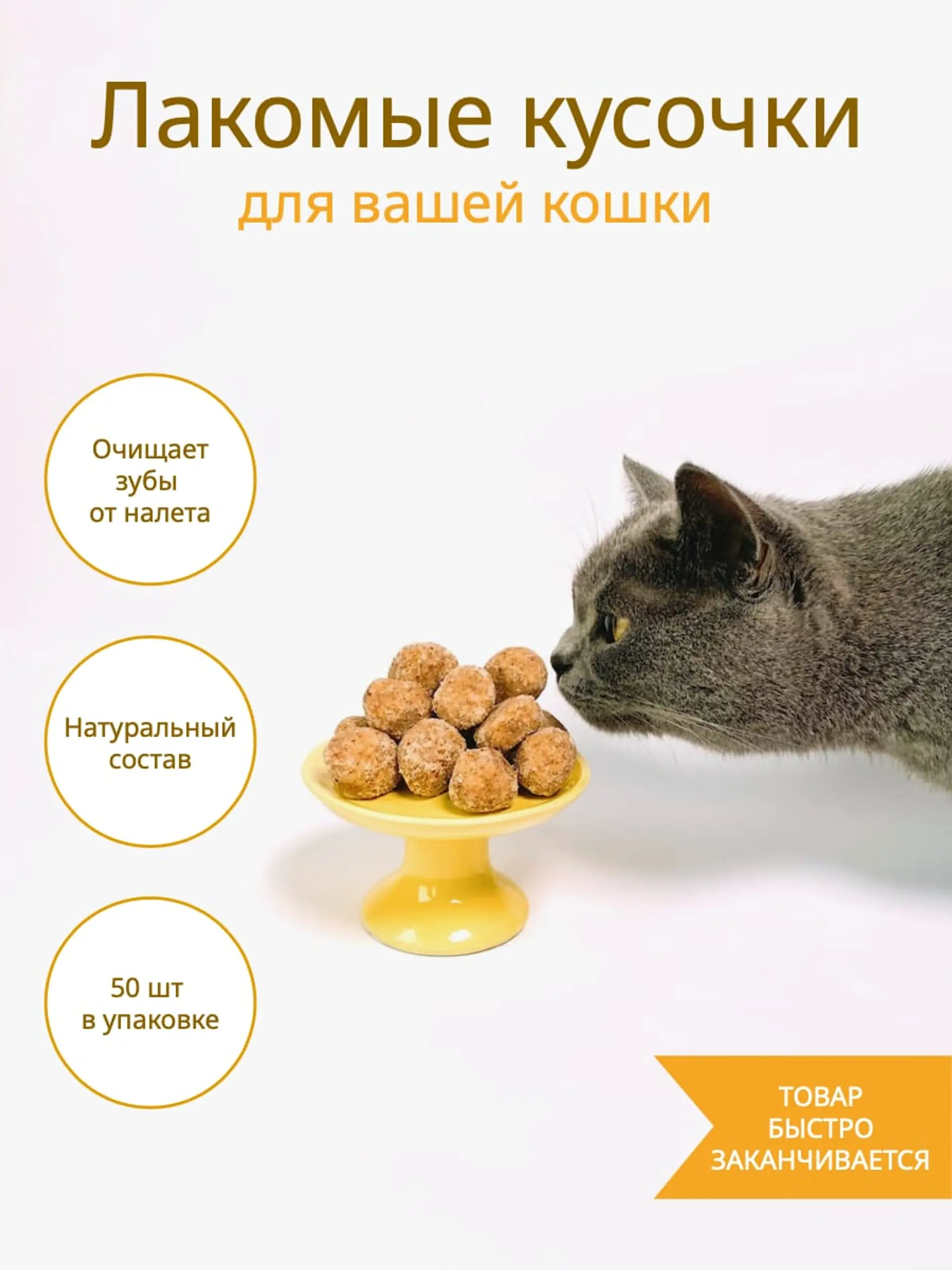 Товары для кошек инфографика страница 1