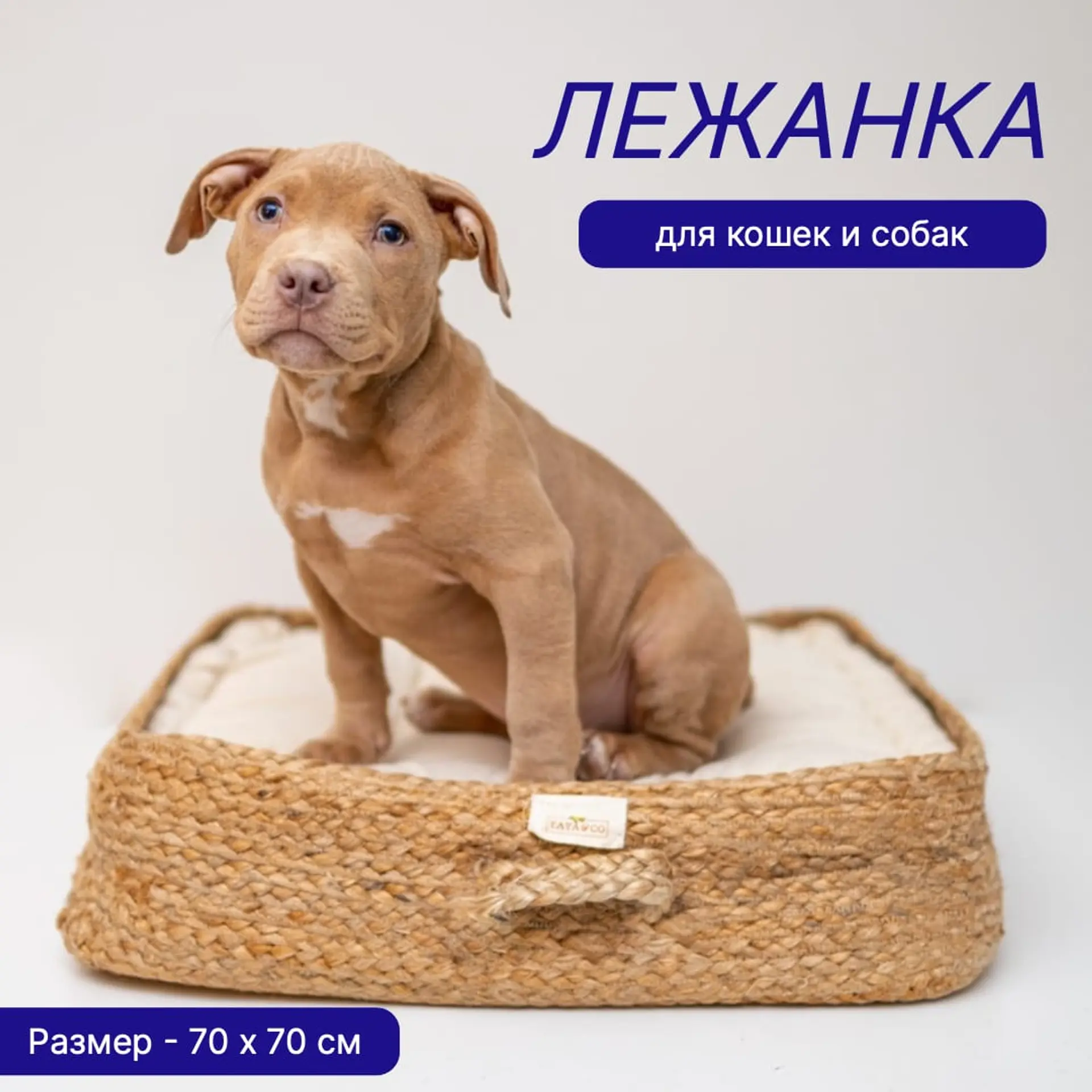 Товары для животных карточка товара страница 1