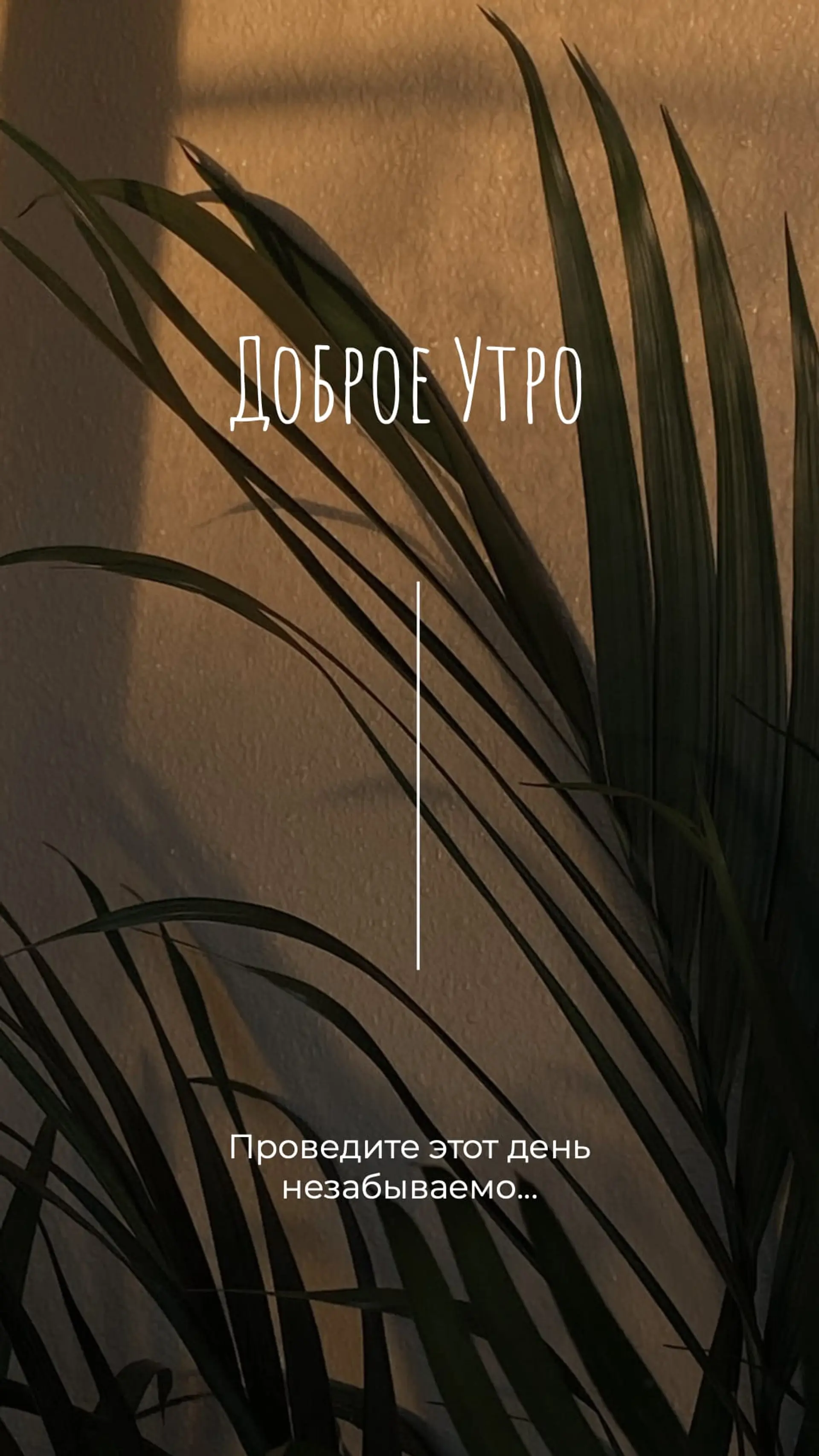 Вдохновляющее утро Инстаграм Сторис страница 1